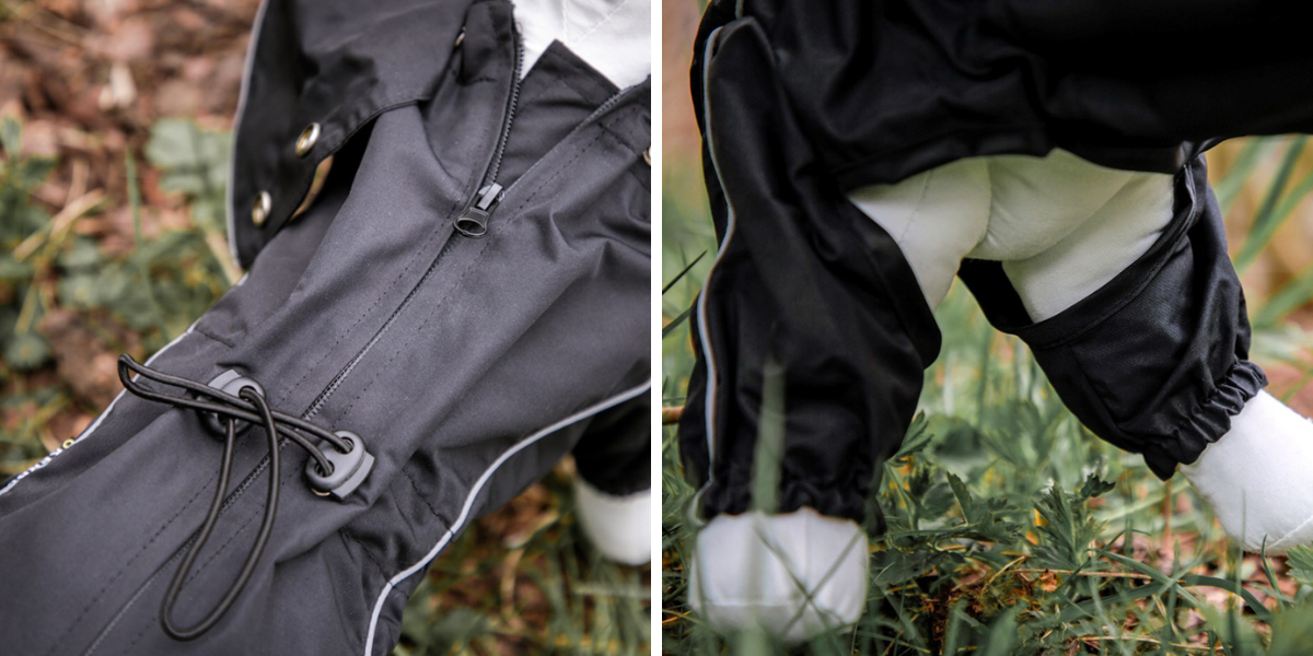 Blog-plastenka-pro-psa_detail